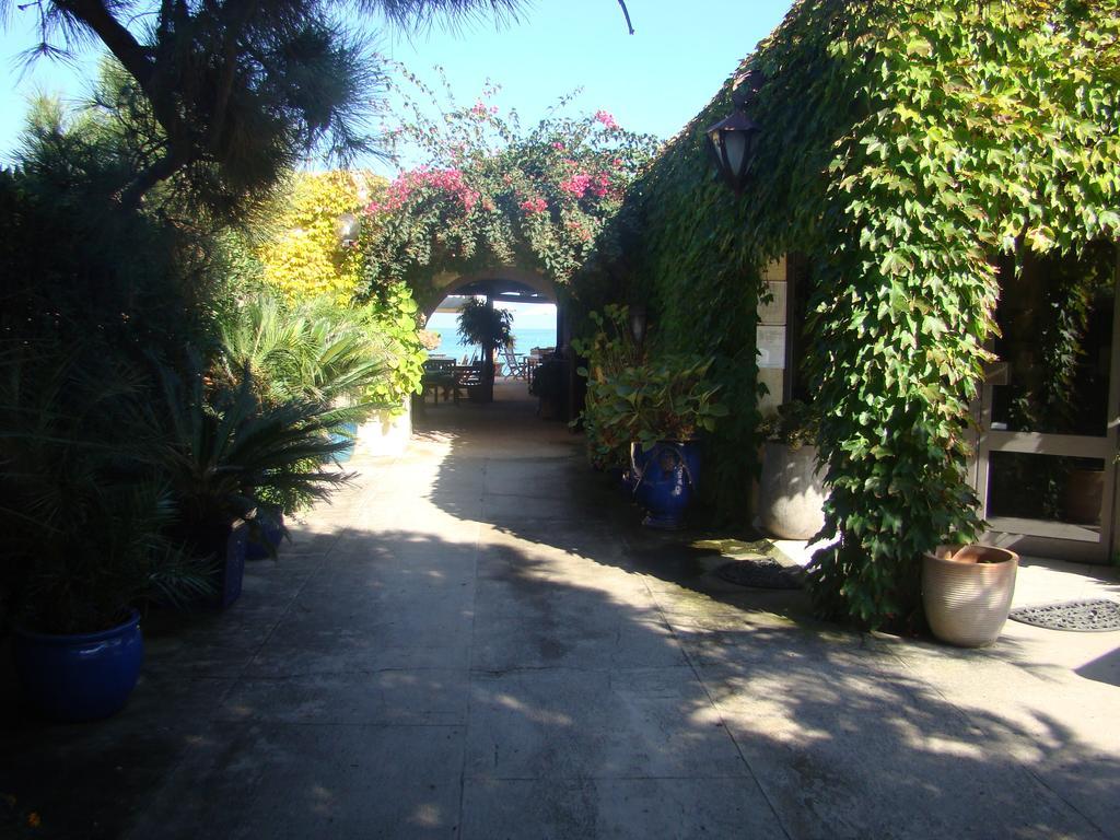 Hotel Pineto Бигулия Екстериор снимка
